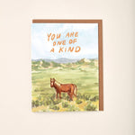 You Are One of a Kind Horse Greeting Card