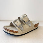 mickey western slides