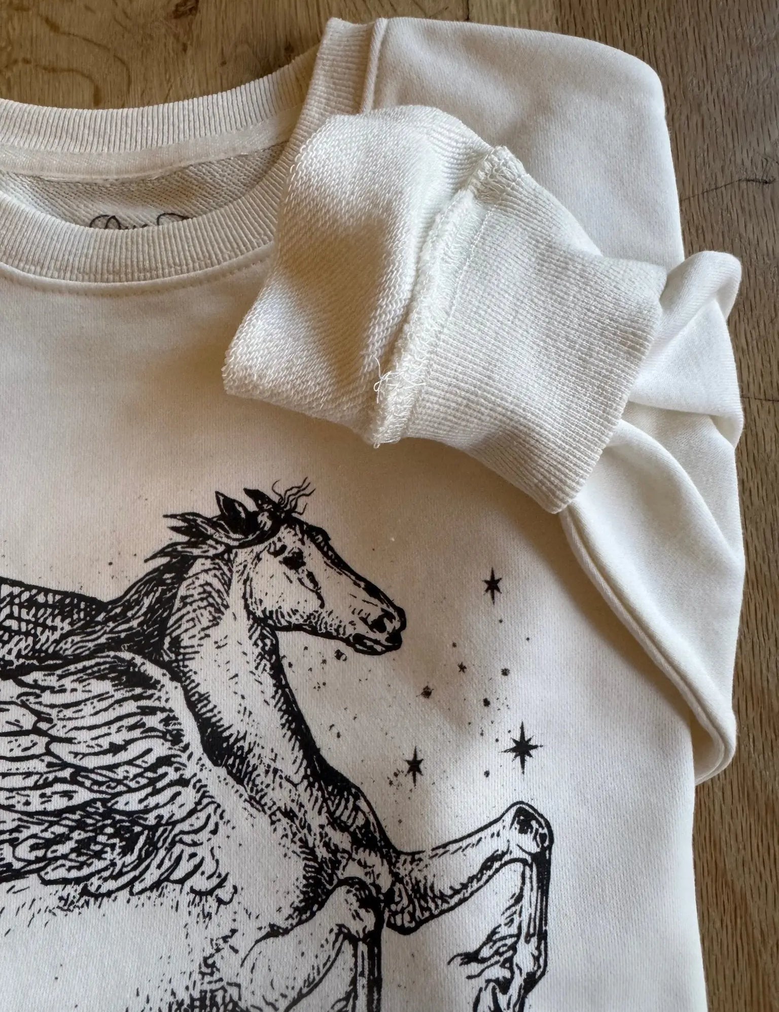 Dream On Dreamer Horse Sweatshirt - Bridle Up Hope Shop