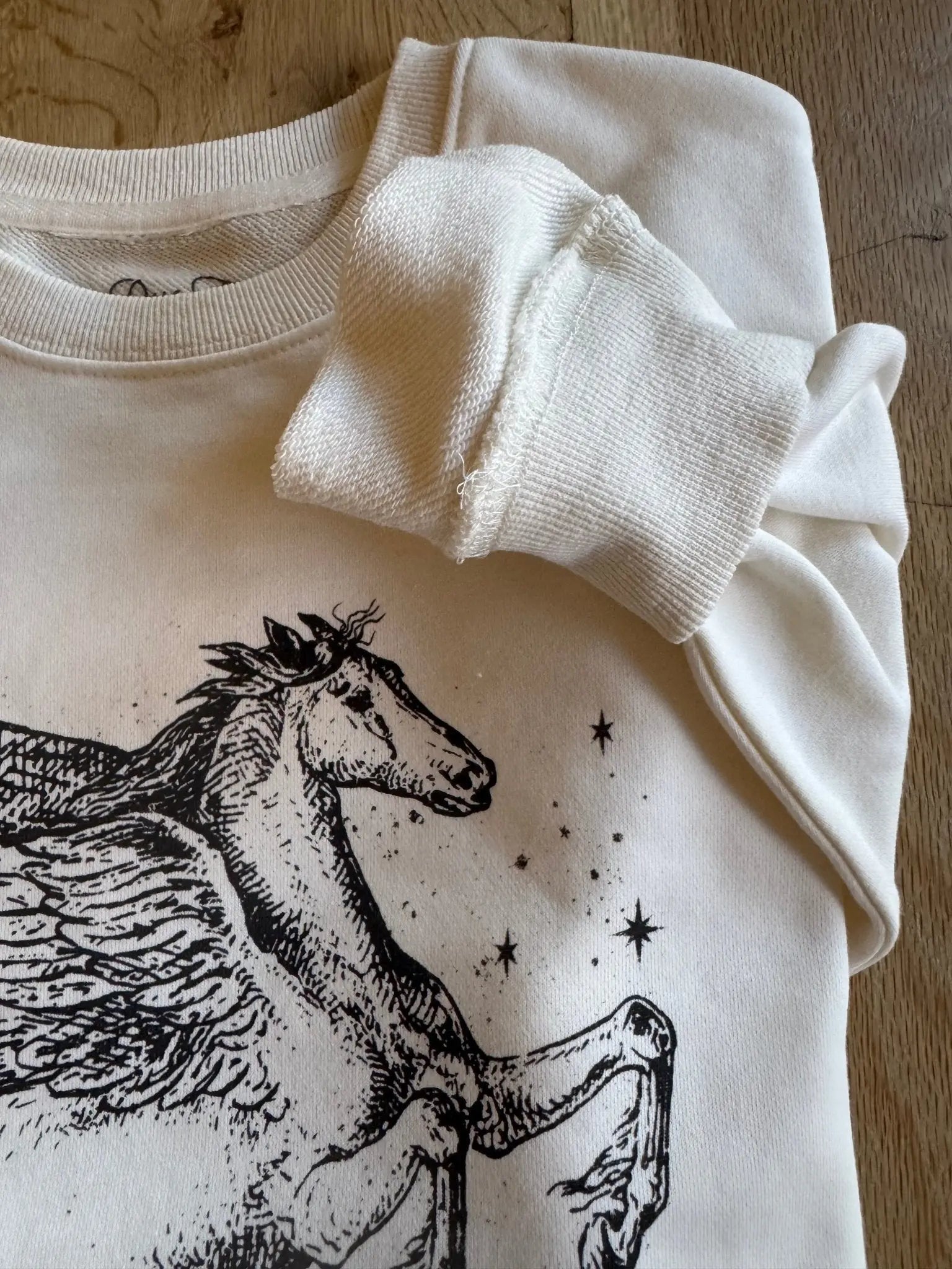 Dream On Dreamer Horse Sweatshirt - Bridle Up Hope Shop