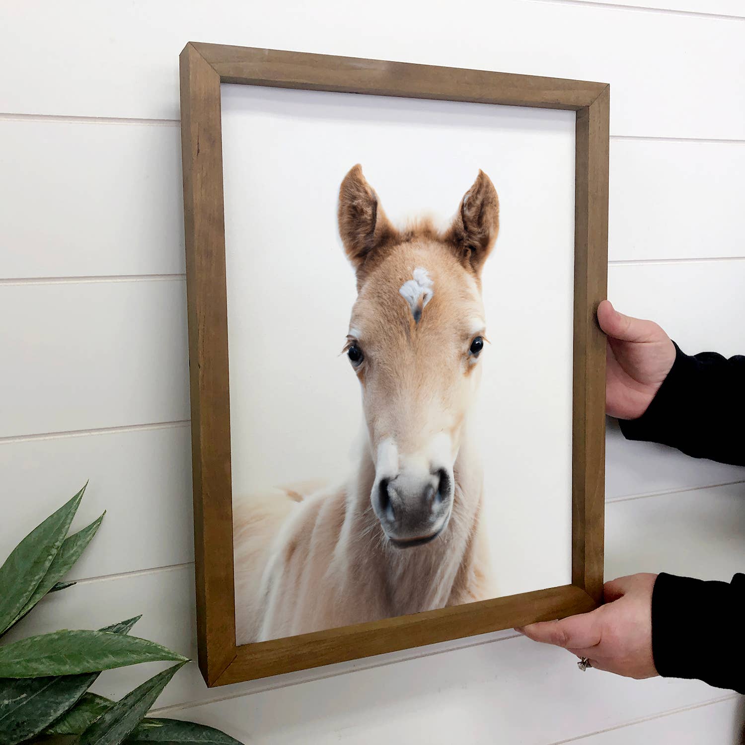 baby horse wall art