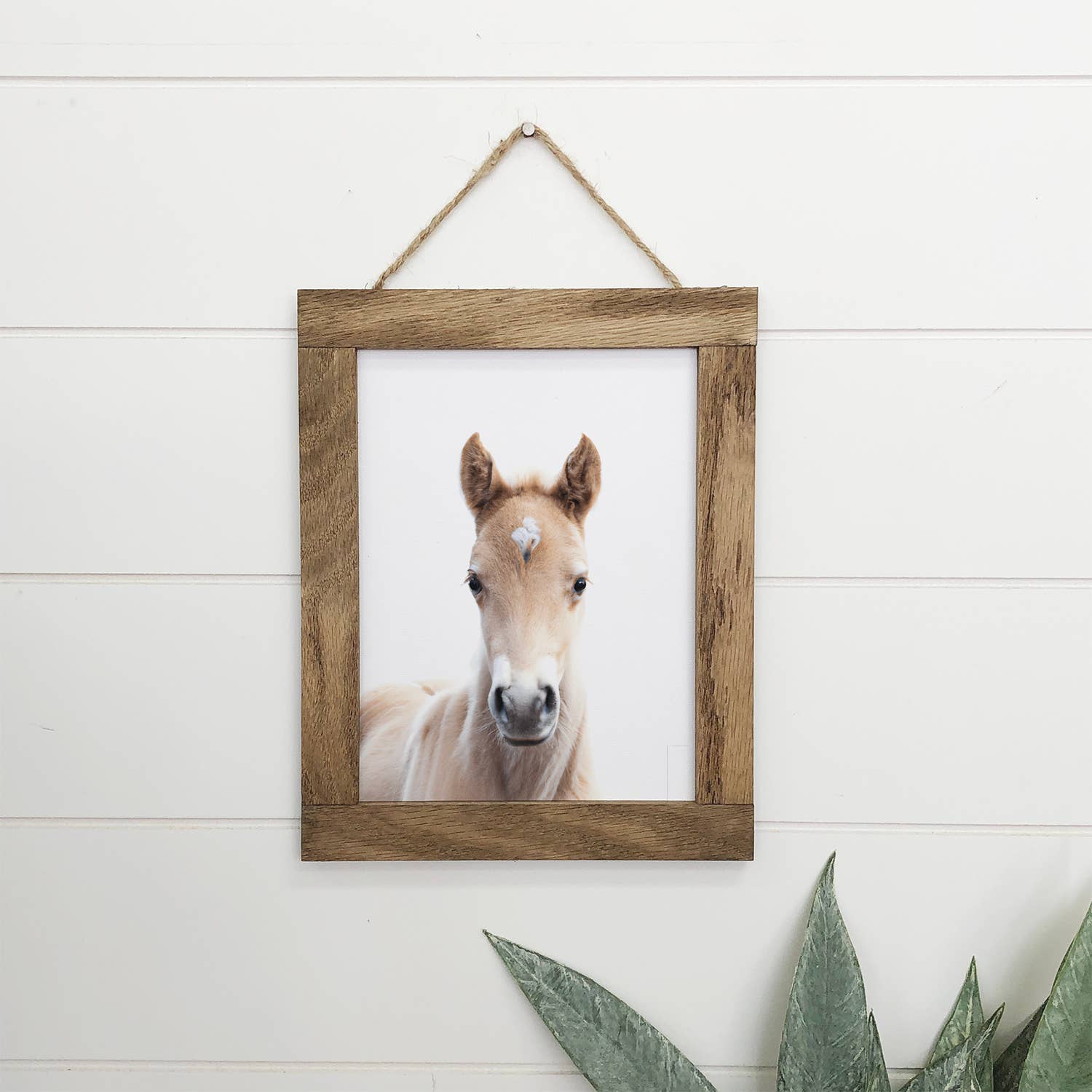 baby horse wall art