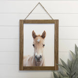 baby horse wall art