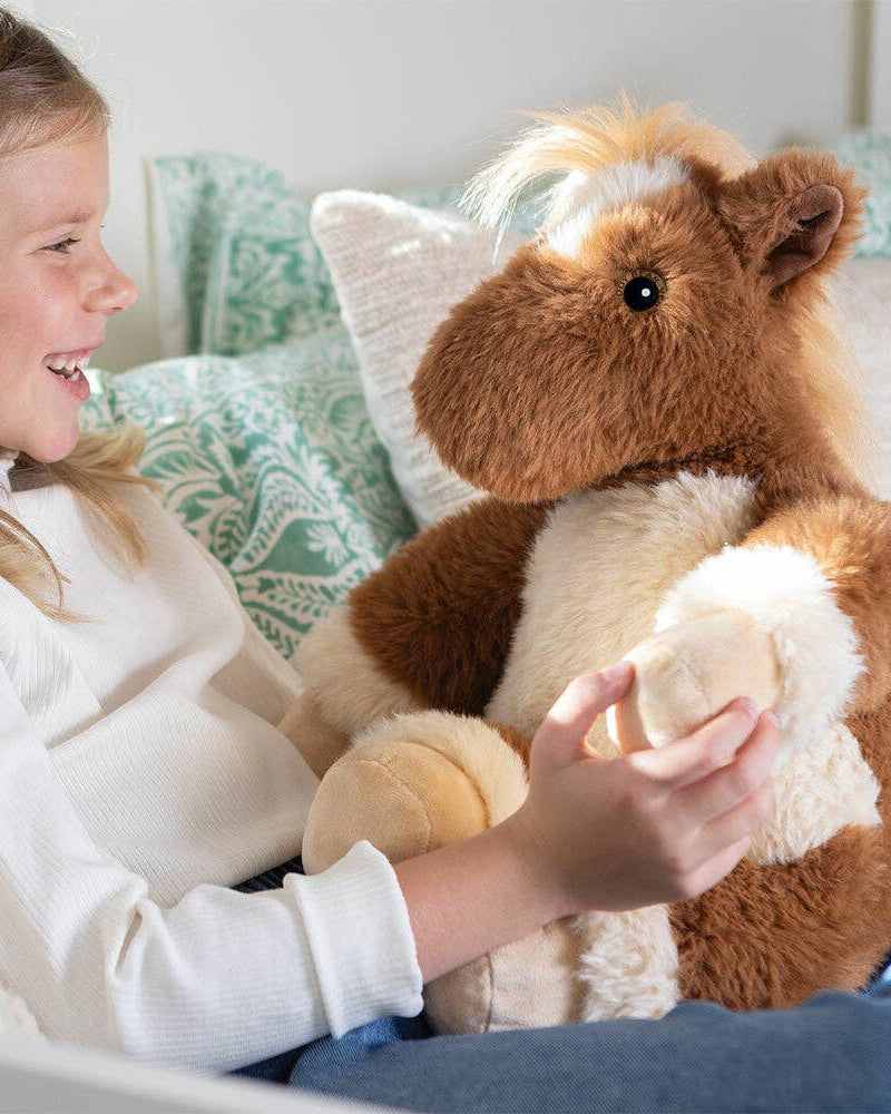 Teddy the Pony