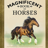 magnificent book of horses