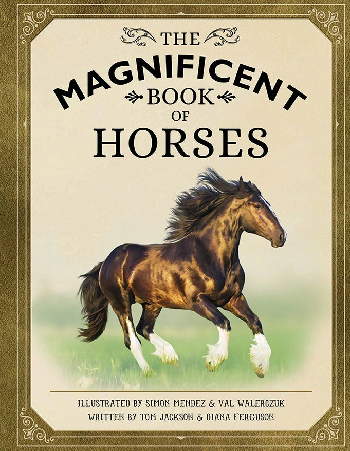 magnificent book of horses