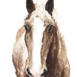 horse watercolor print