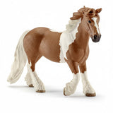 Finn the Irish Cob Horse
