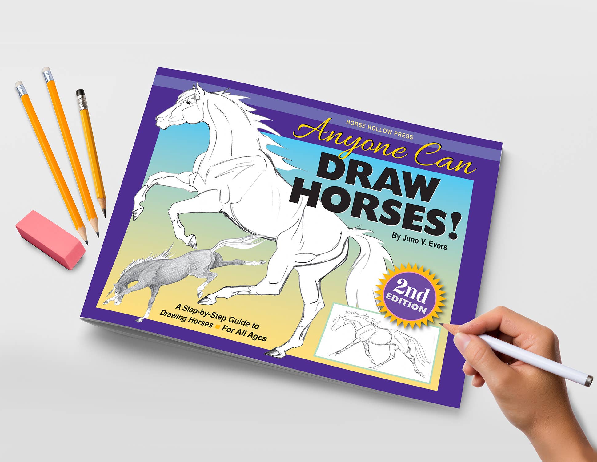 Anyone Can Draw Horses Art Kit