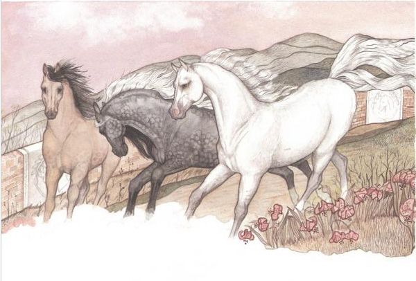Fritz and the Beautiful Horses by Jan Brett
