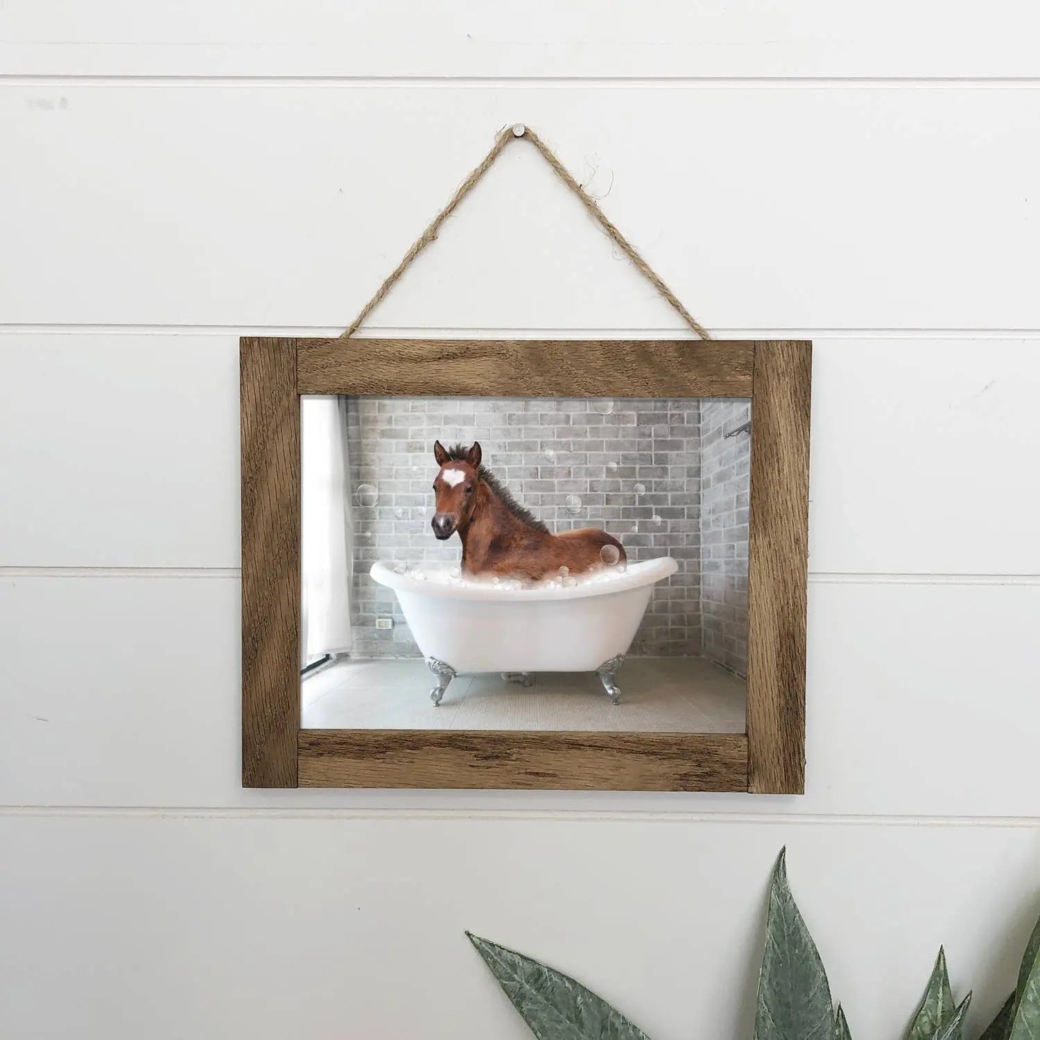 Foal in Bathtub Wood Sign - Bridle Up Hope Shop