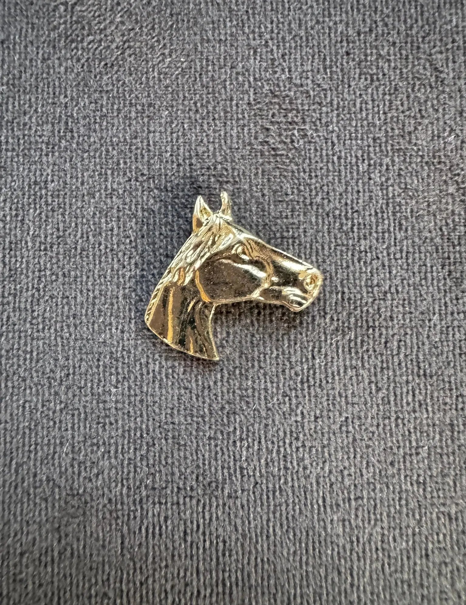 Golden Legacy Horse Pin - Bridle Up Hope Shop