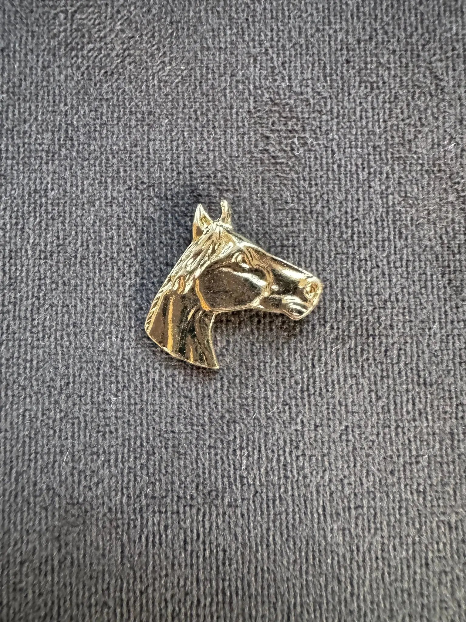 Golden Legacy Horse Pin - Bridle Up Hope Shop