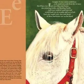 H is for Horse - Bridle Up Hope Shop