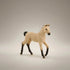Hannoverian Foal - Bridle Up Hope Shop