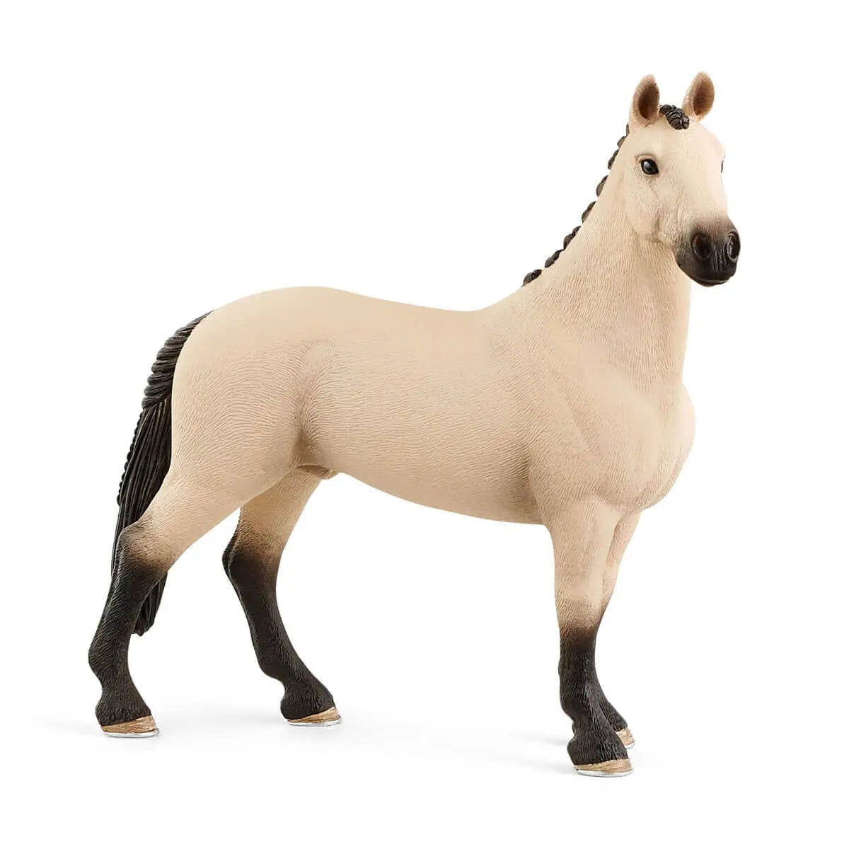 Hannoverian Gelding - Bridle Up Hope Shop
