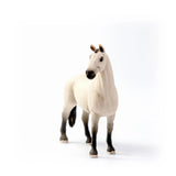 Hannoverian Gelding - Bridle Up Hope Shop