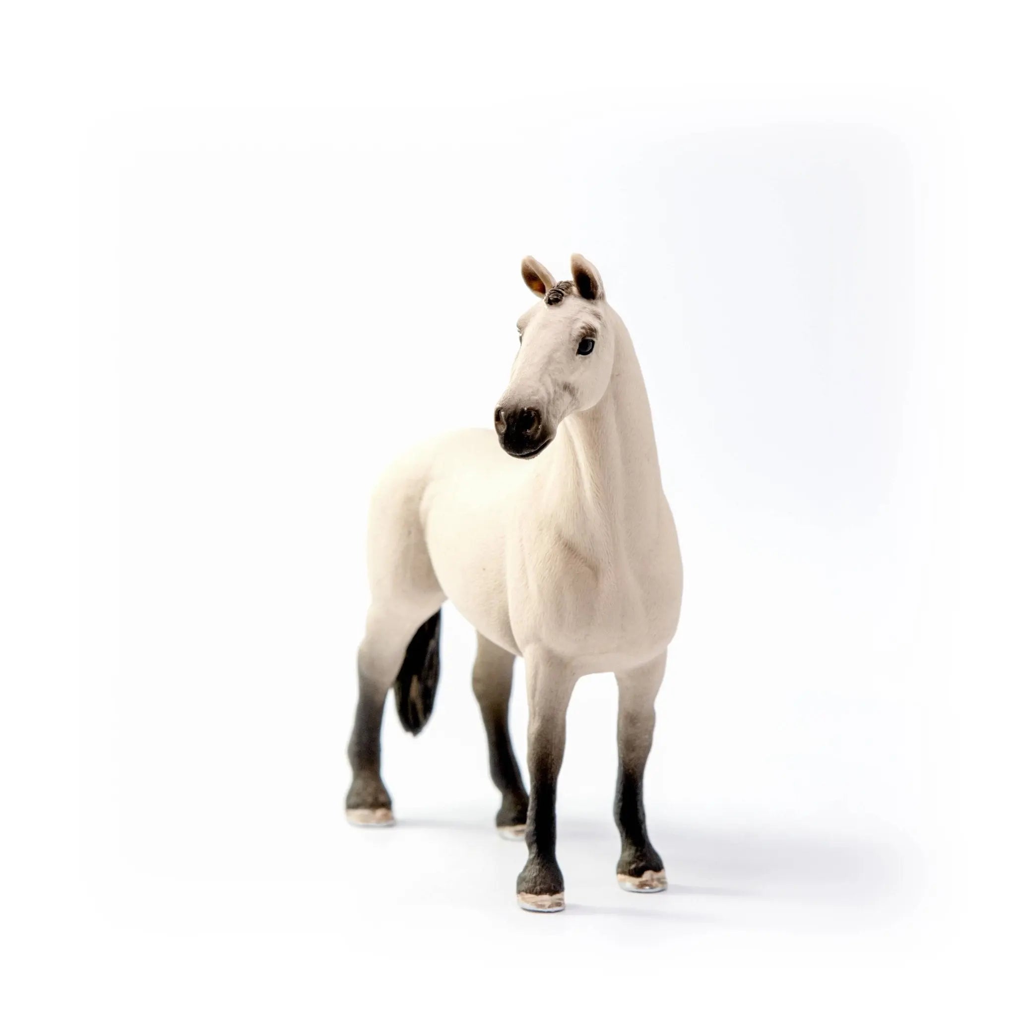 Hannoverian Gelding - Bridle Up Hope Shop