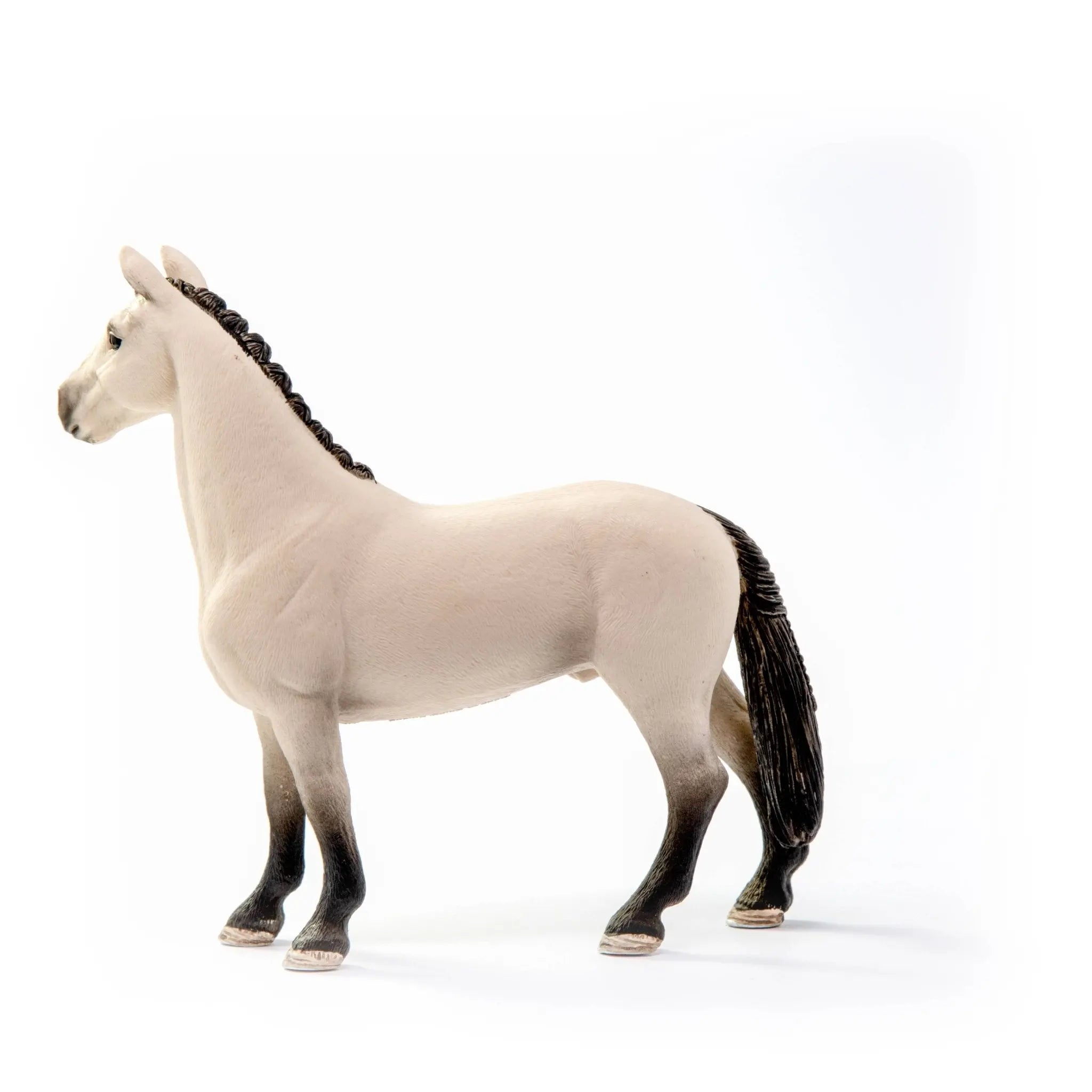 Hannoverian Gelding - Bridle Up Hope Shop