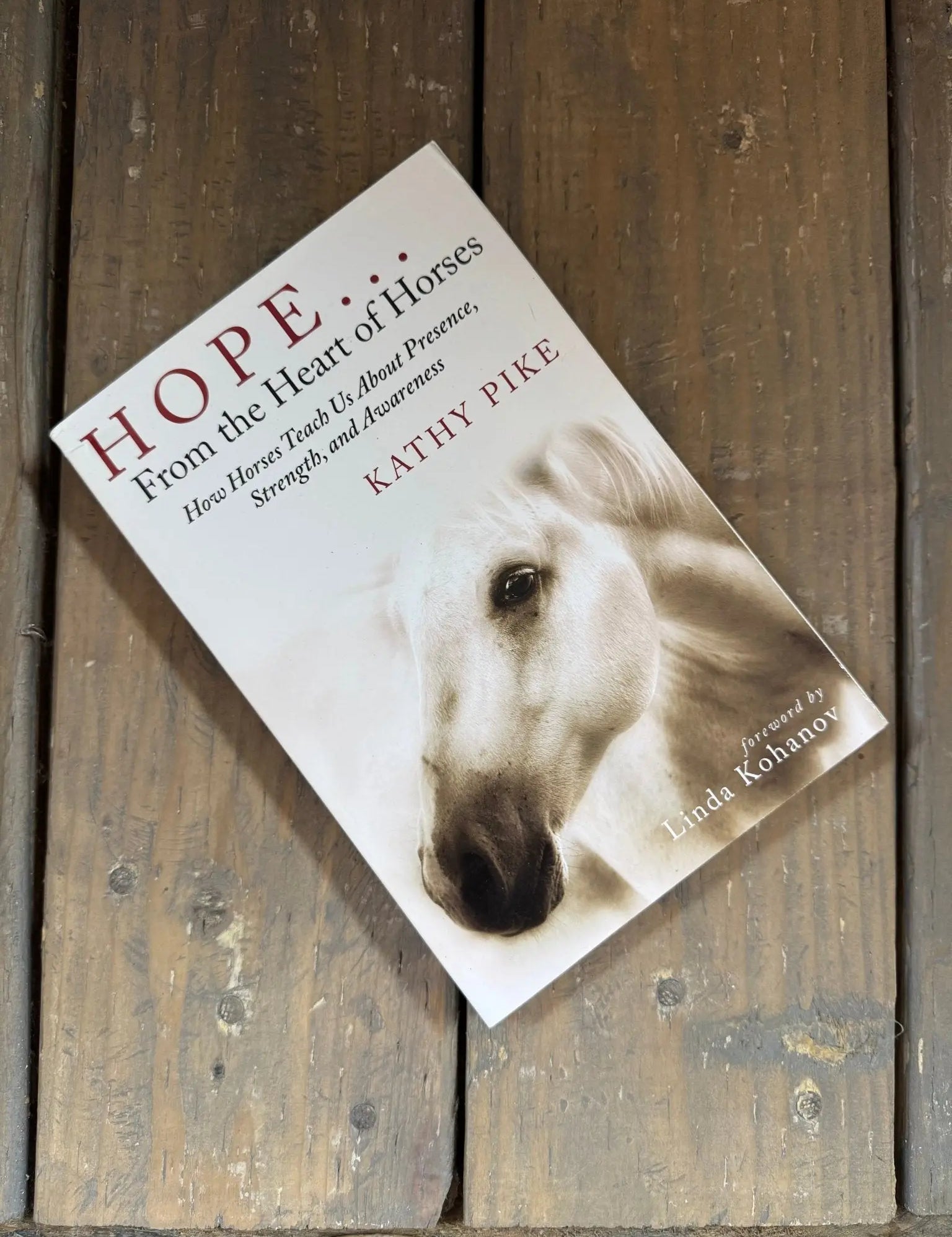 Hope... From the Heart of Horses - Bridle Up Hope Shop