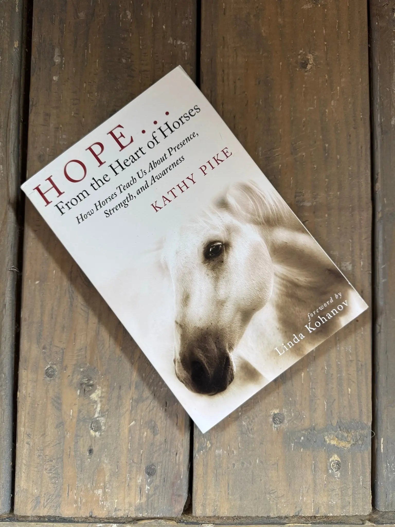 Hope... From the Heart of Horses - Bridle Up Hope Shop