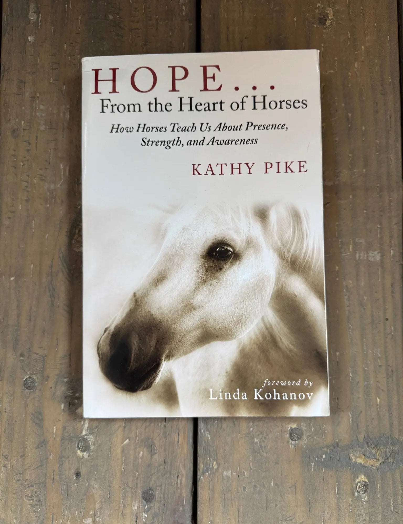 Hope... From the Heart of Horses - Bridle Up Hope Shop