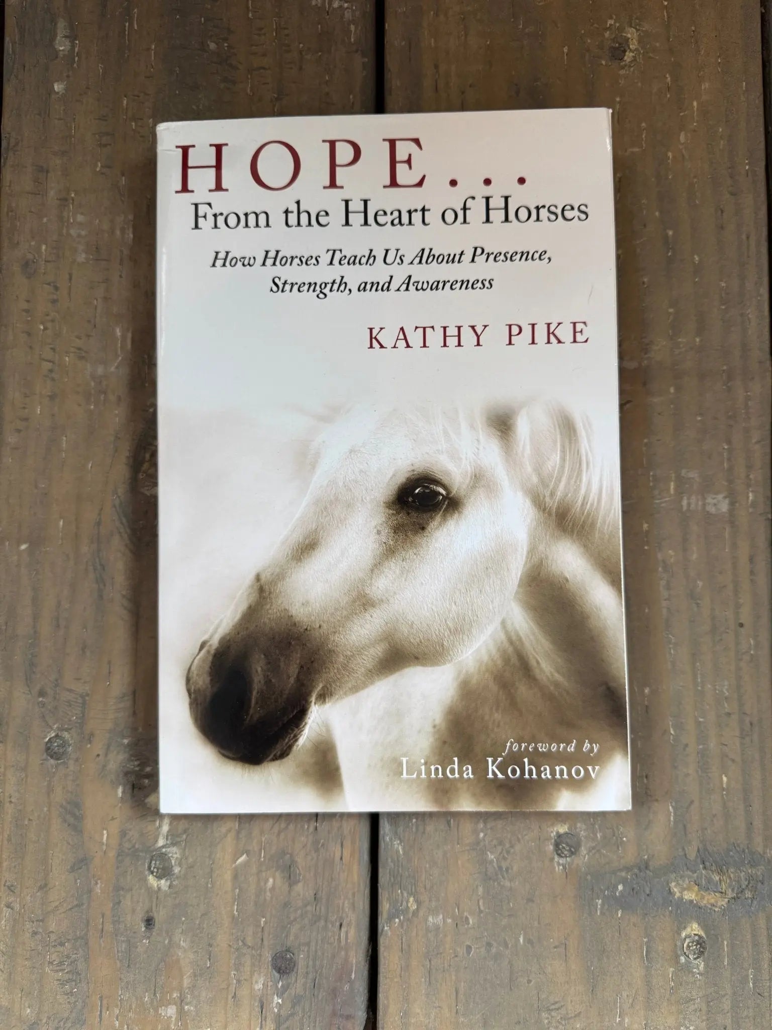 Hope... From the Heart of Horses - Bridle Up Hope Shop