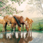 Horse Family Puzzle (350pc) - Bridle Up Hope Shop