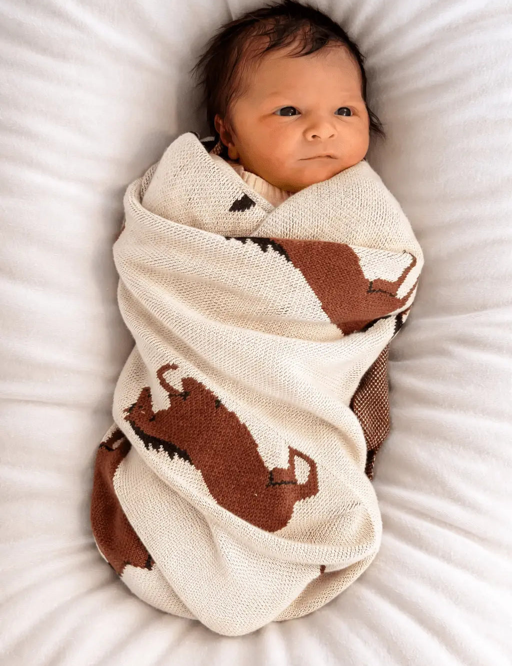 Horse Organic Knit Baby Blanket - Bridle Up Hope Shop