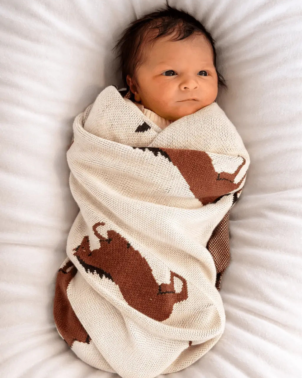 Horse Organic Knit Baby Blanket - Bridle Up Hope Shop