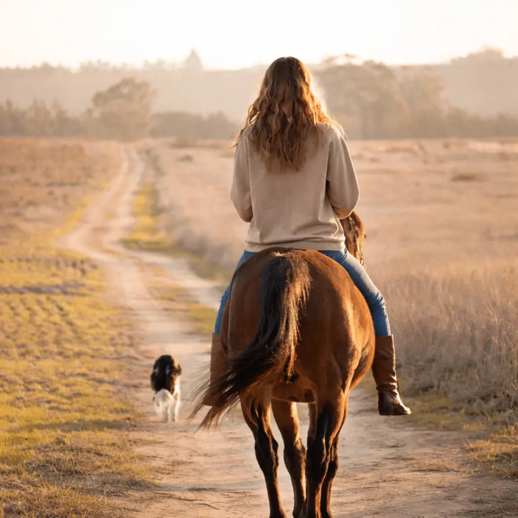 Howdy Pigment - Dyed Sweatshirt (Vintage Beige) - Bridle Up Hope Shop