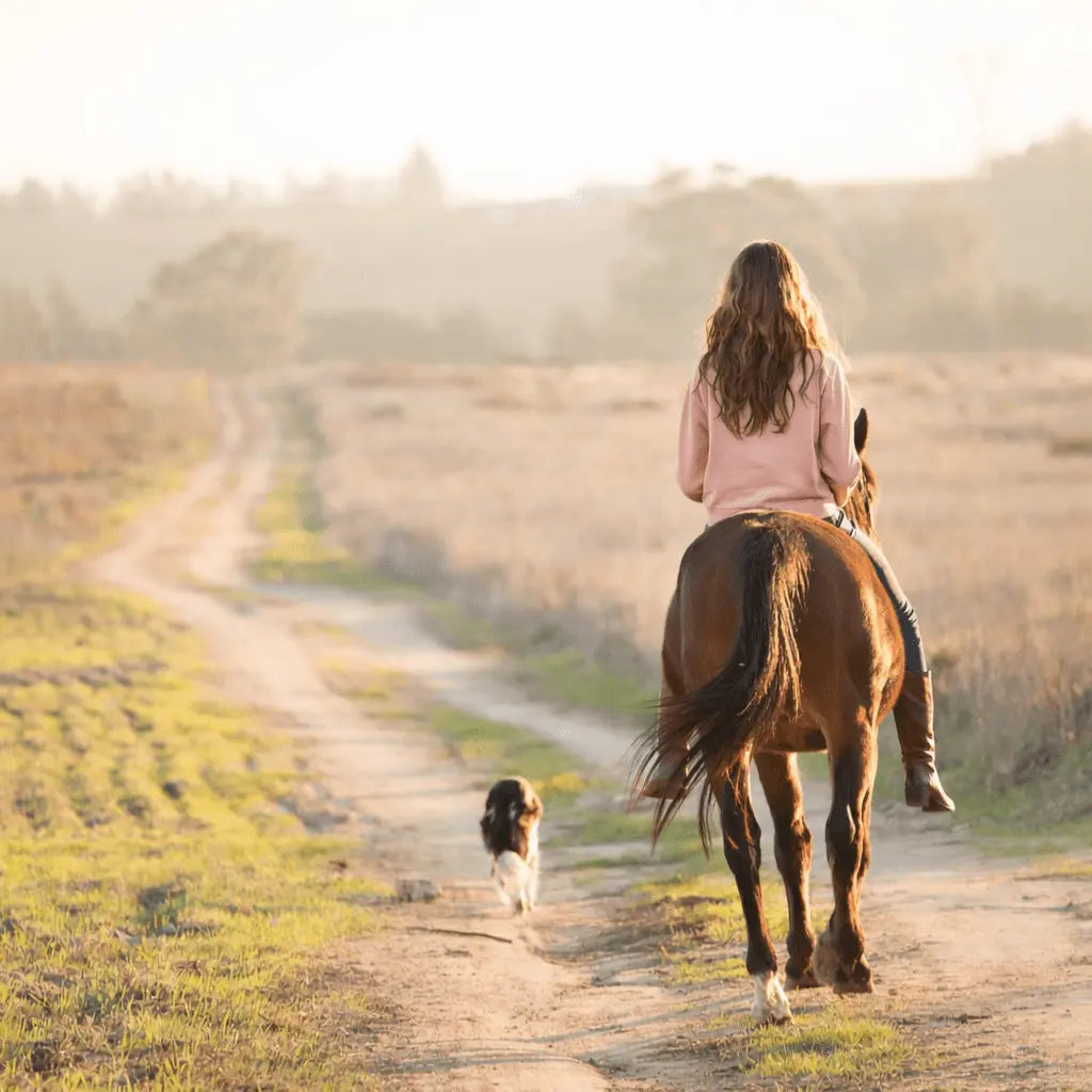 Howdy Pigment - Dyed Sweatshirt (Vintage Rose) - Bridle Up Hope Shop