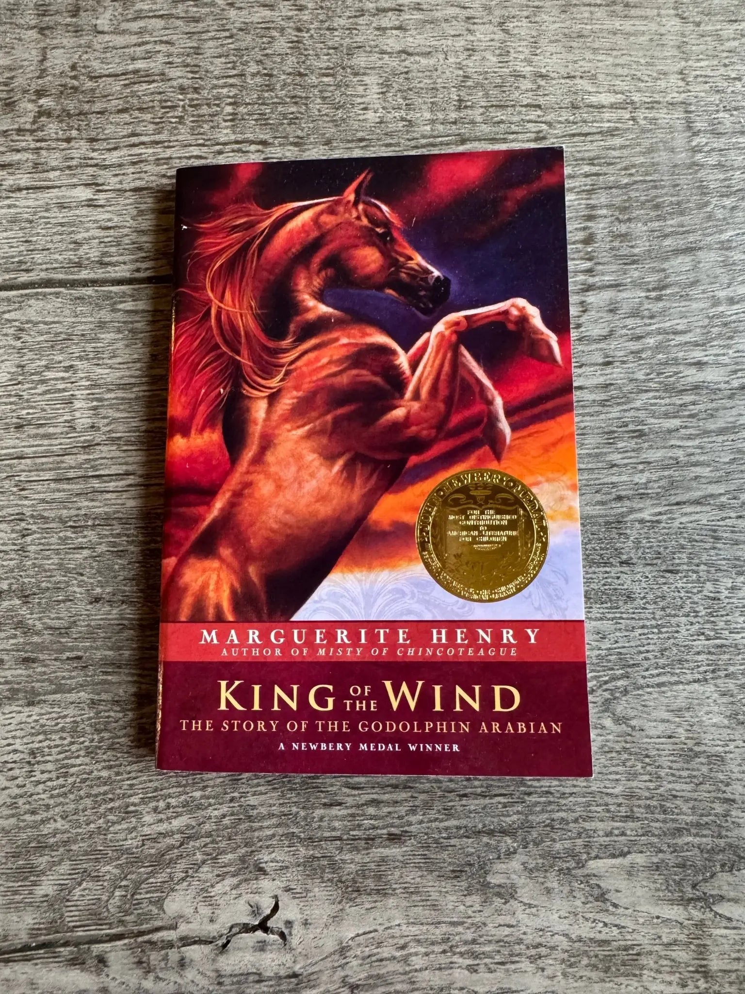 King of the Wind - Bridle Up Hope Shop