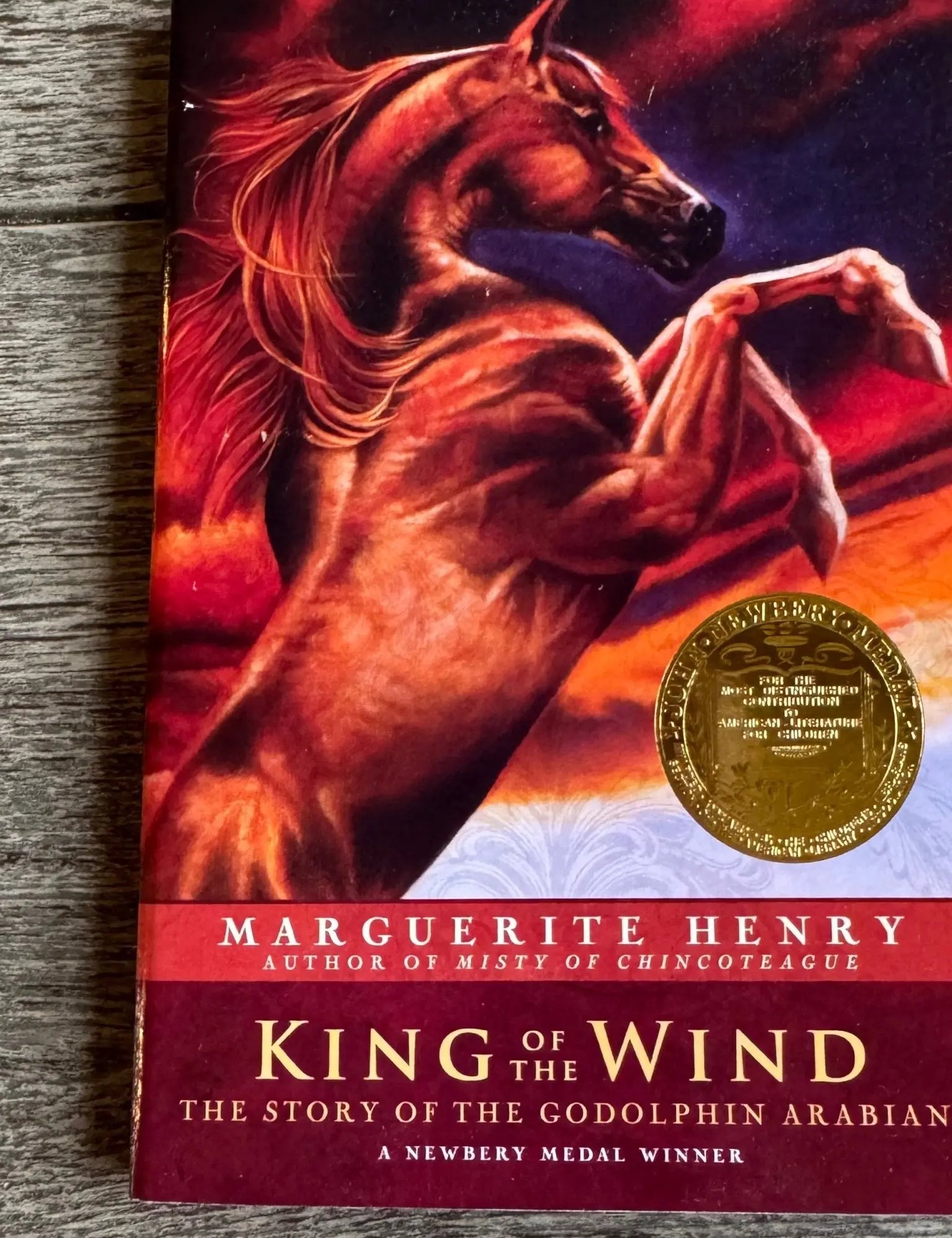 King of the Wind - Bridle Up Hope Shop