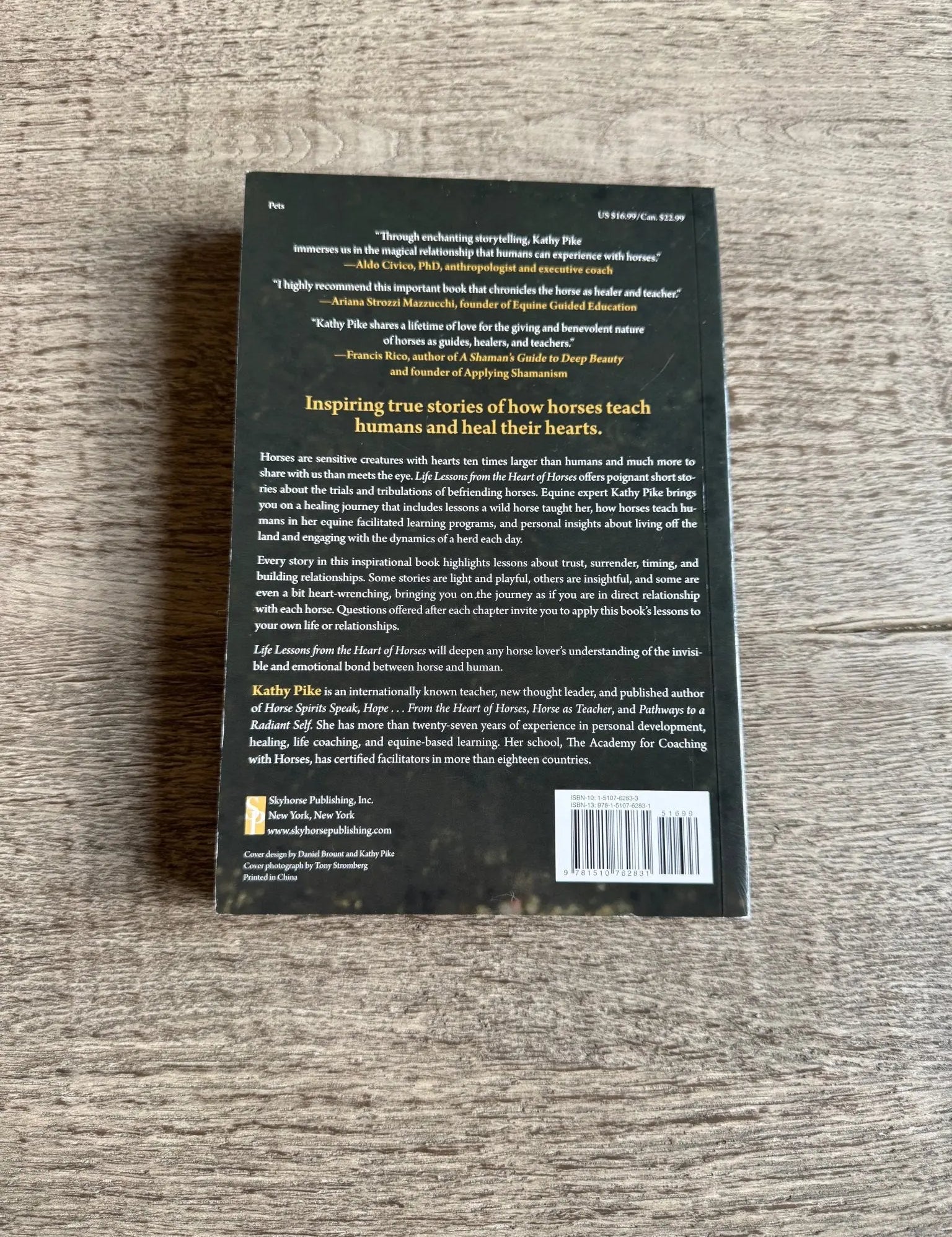 Life Lesson From the Heart of Horses - Bridle Up Hope Shop