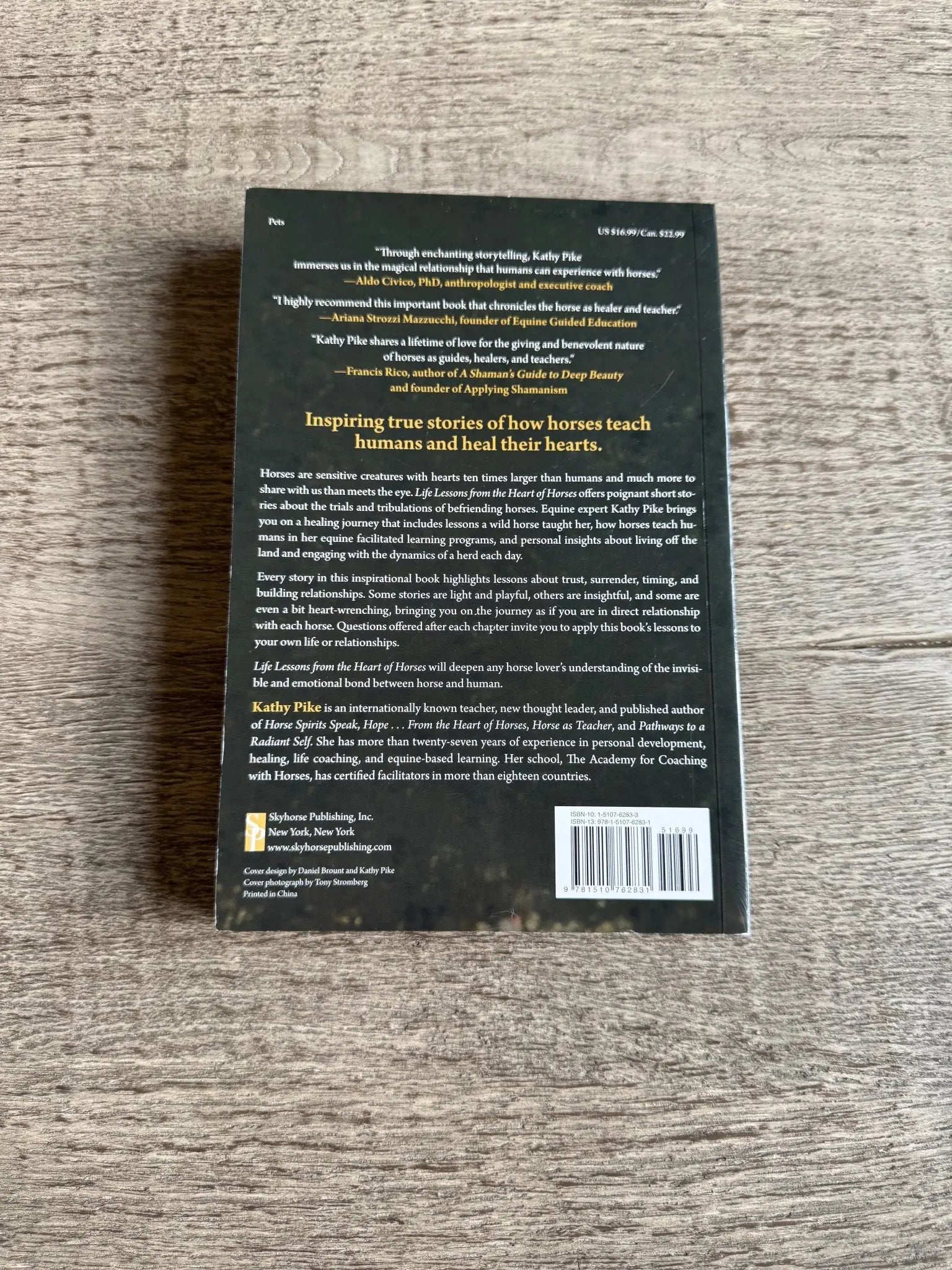 Life Lesson From the Heart of Horses - Bridle Up Hope Shop