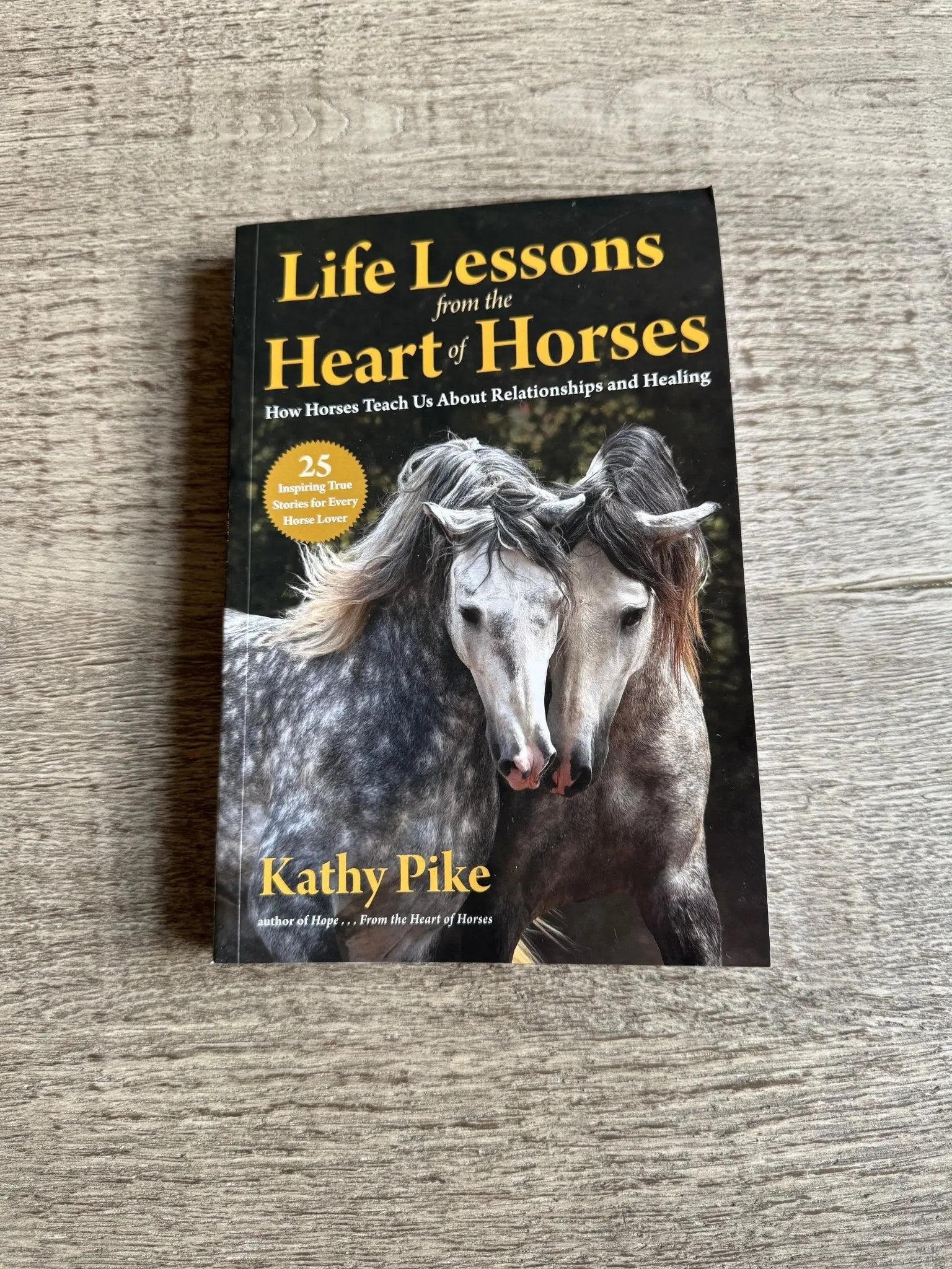 Life Lesson From the Heart of Horses - Bridle Up Hope Shop
