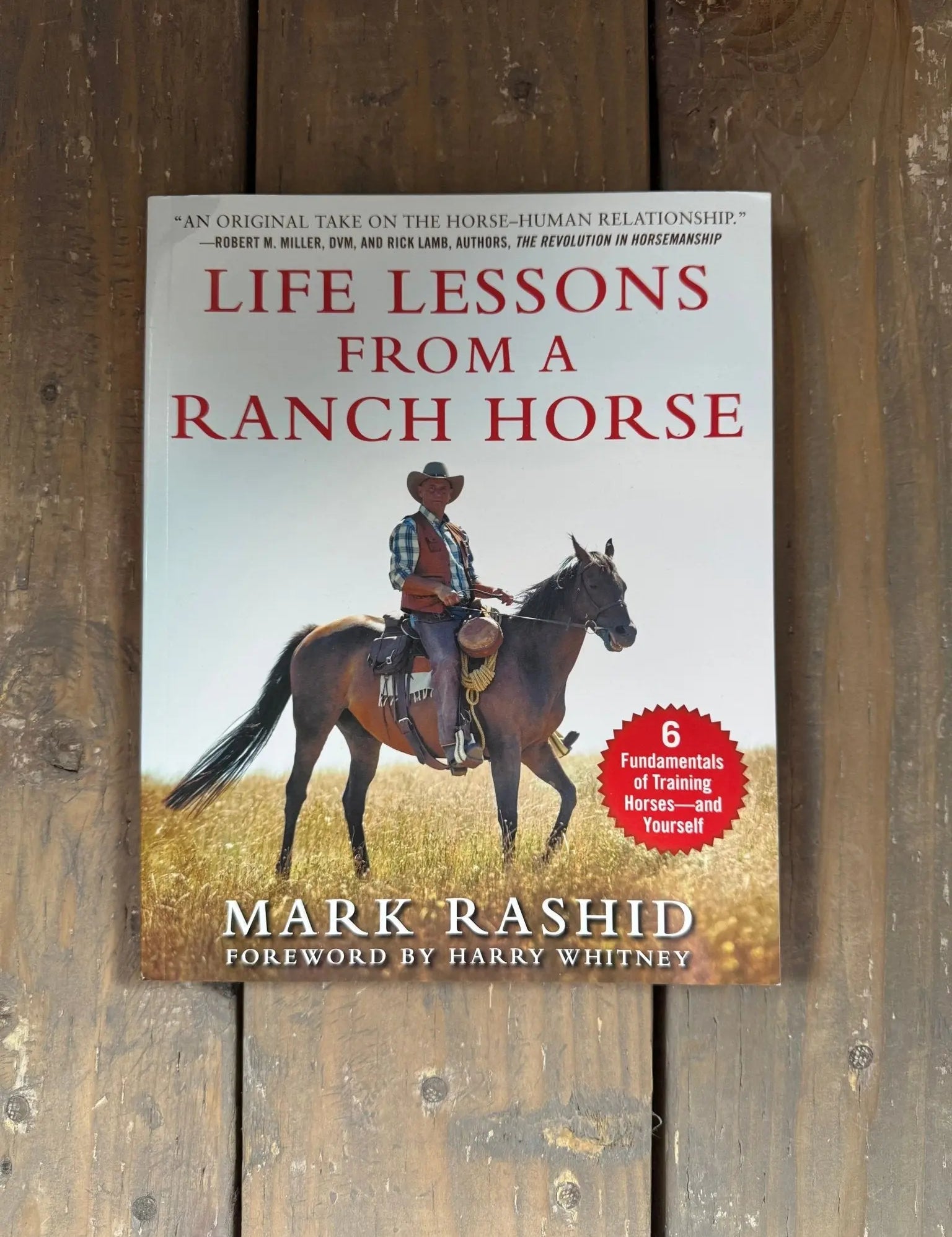 Life lessons From a Ranch Horse - Bridle Up Hope Shop
