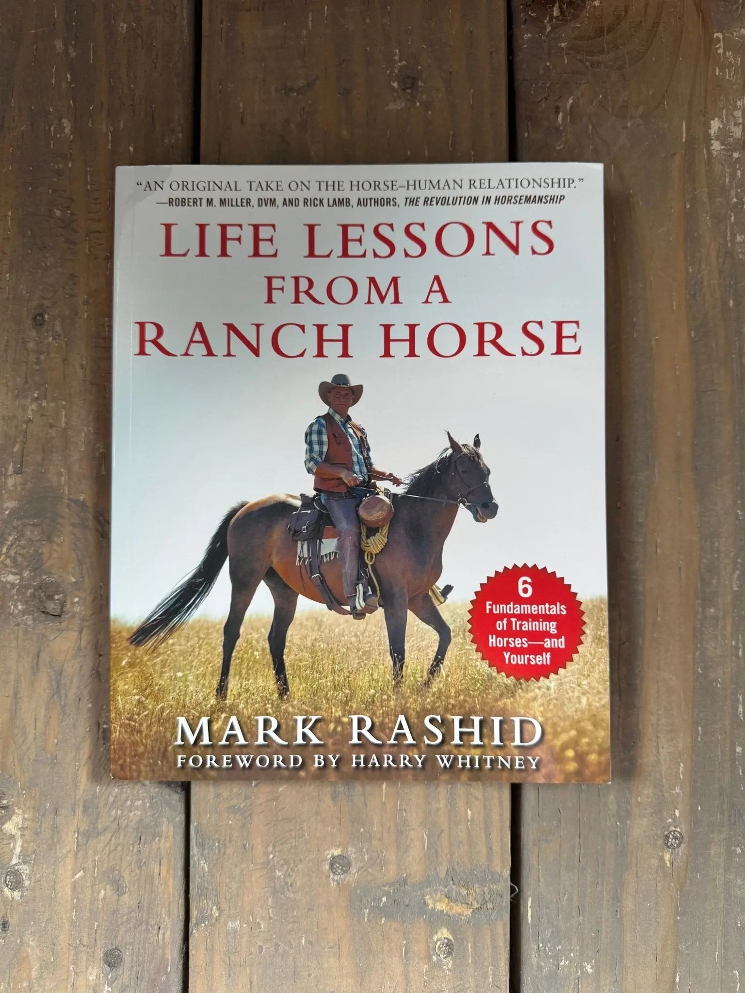 Life lessons From a Ranch Horse - Bridle Up Hope Shop