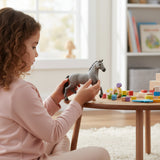 Cheval de Selle Francias Stallion