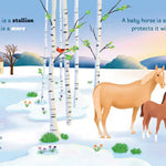 Little Genius Horses - Bridle Up Hope Shop