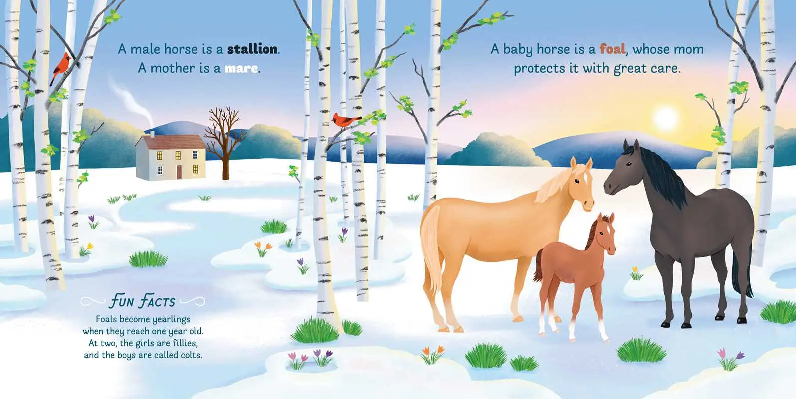 Little Genius Horses - Bridle Up Hope Shop