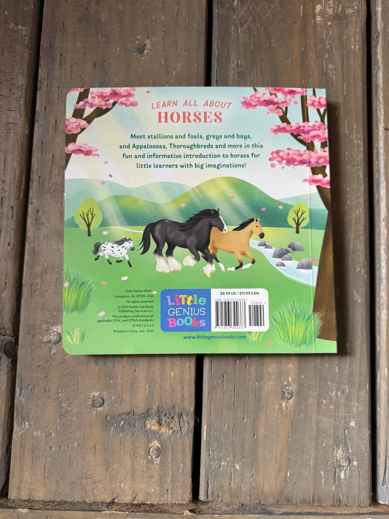 Little Genius Horses - Bridle Up Hope Shop