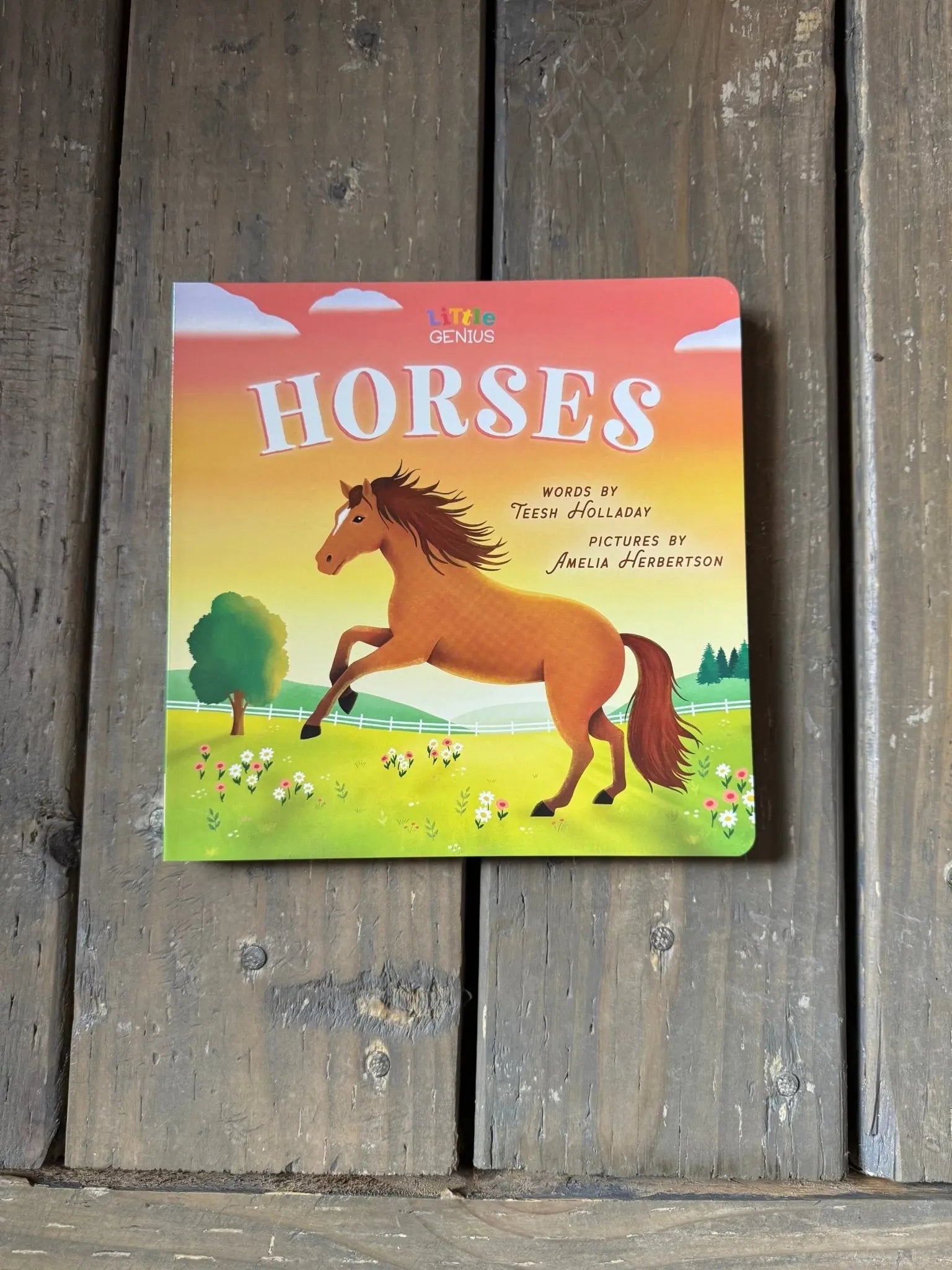 Little Genius Horses - Bridle Up Hope Shop