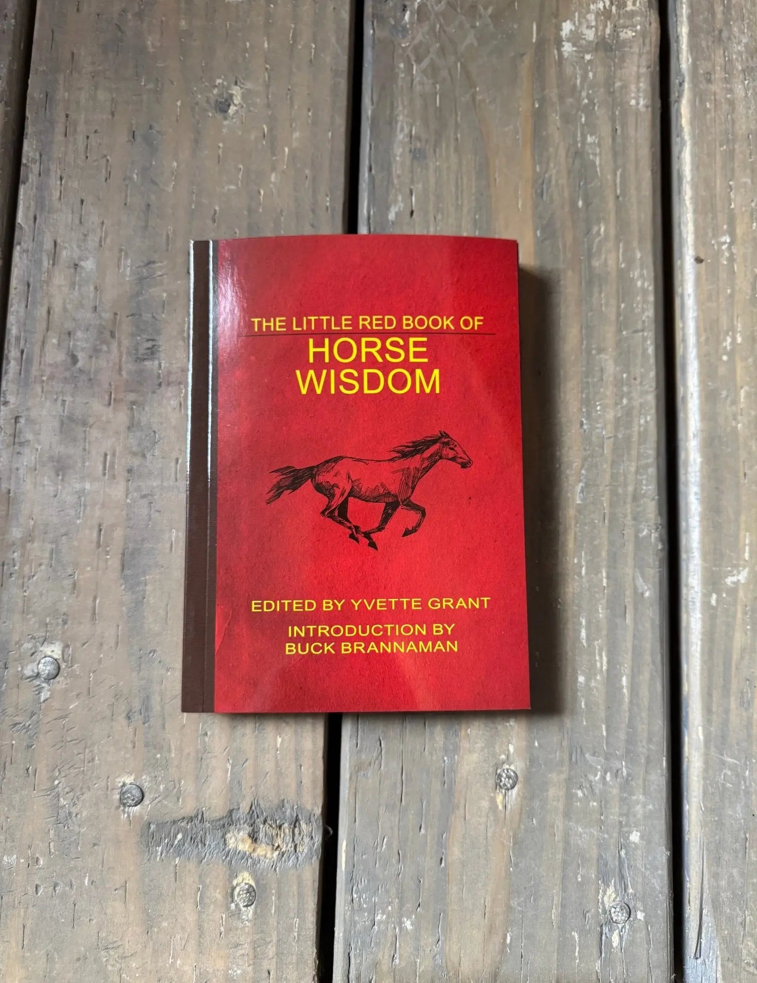 Little Red Book of Horse Wisdom - Bridle Up Hope Shop