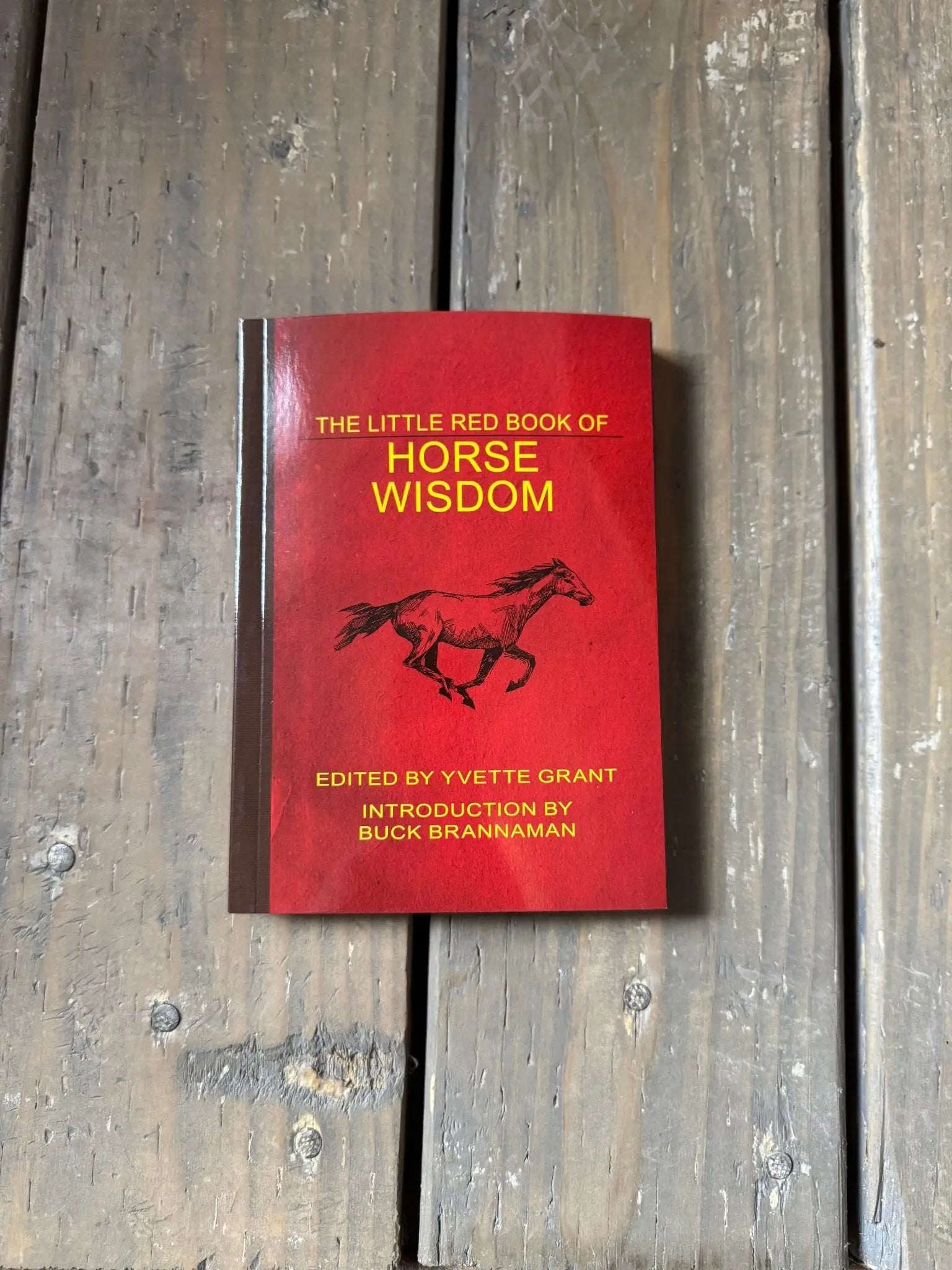 Little Red Book of Horse Wisdom - Bridle Up Hope Shop