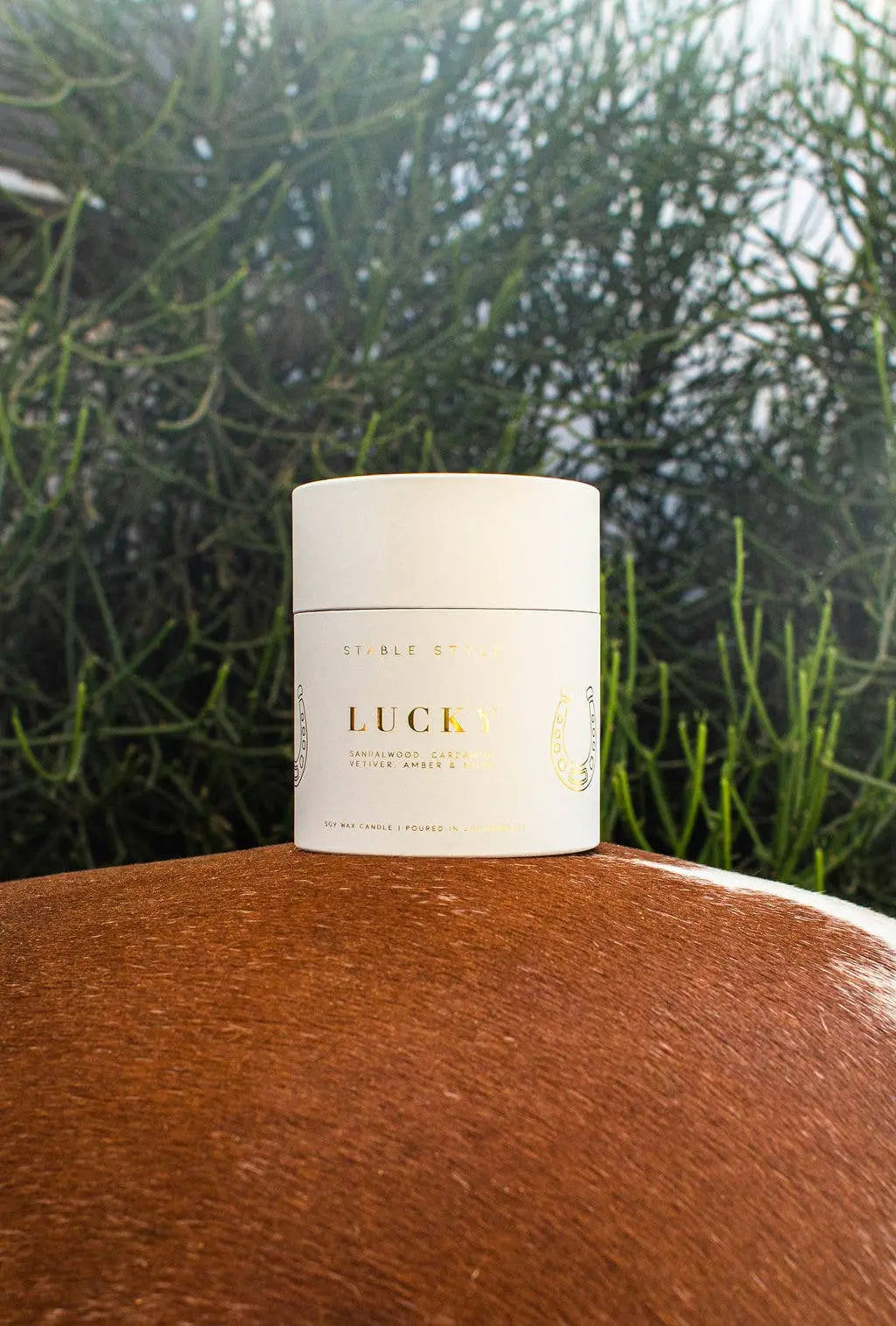 Lucky Horseshoe Soy Wax Candle (10 oz) - Bridle Up Hope Shop