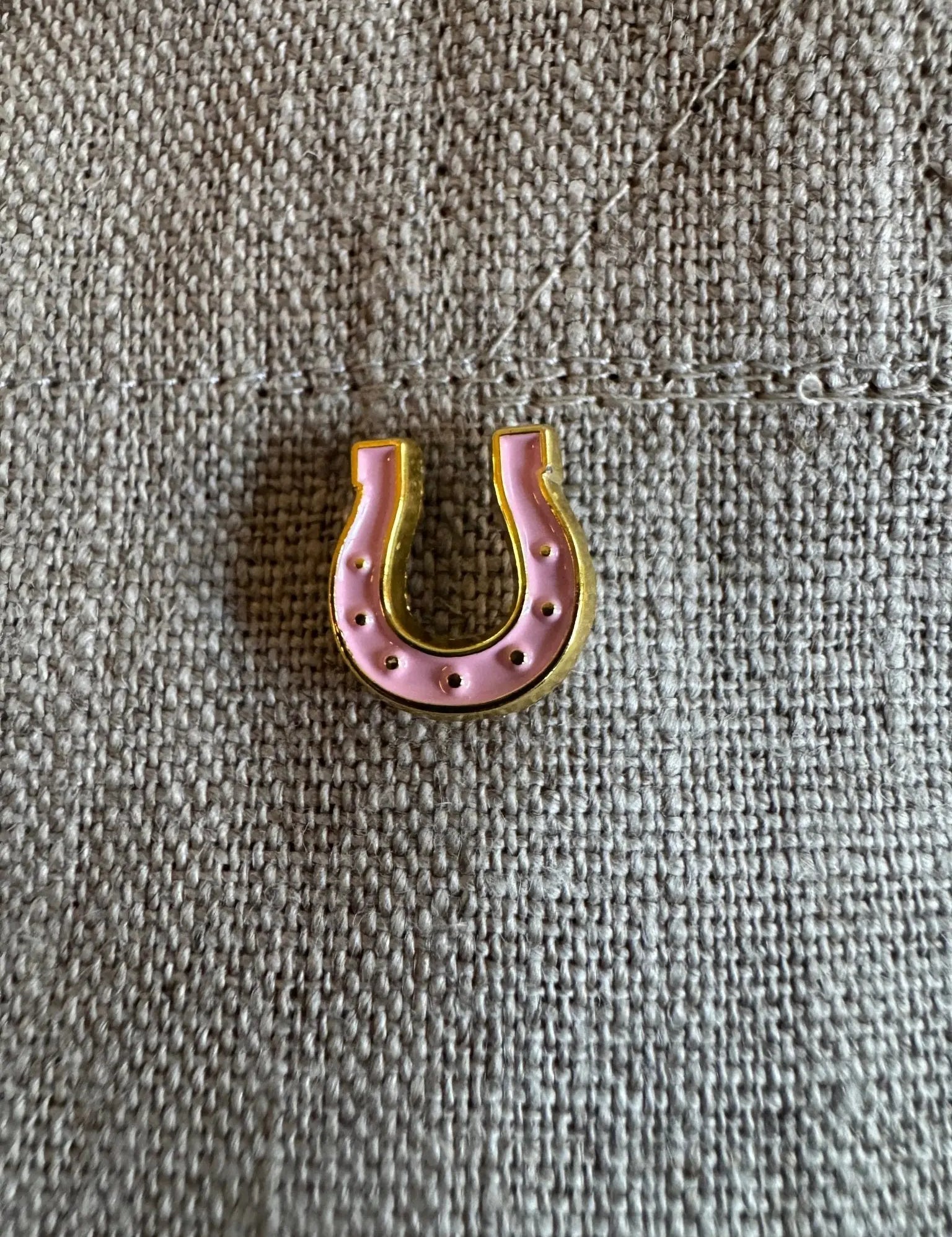 Lucky Pink Horseshoe Pin - Bridle Up Hope Shop