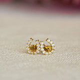 Luxe Horseshoe Earrings - Bridle Up Hope Shop