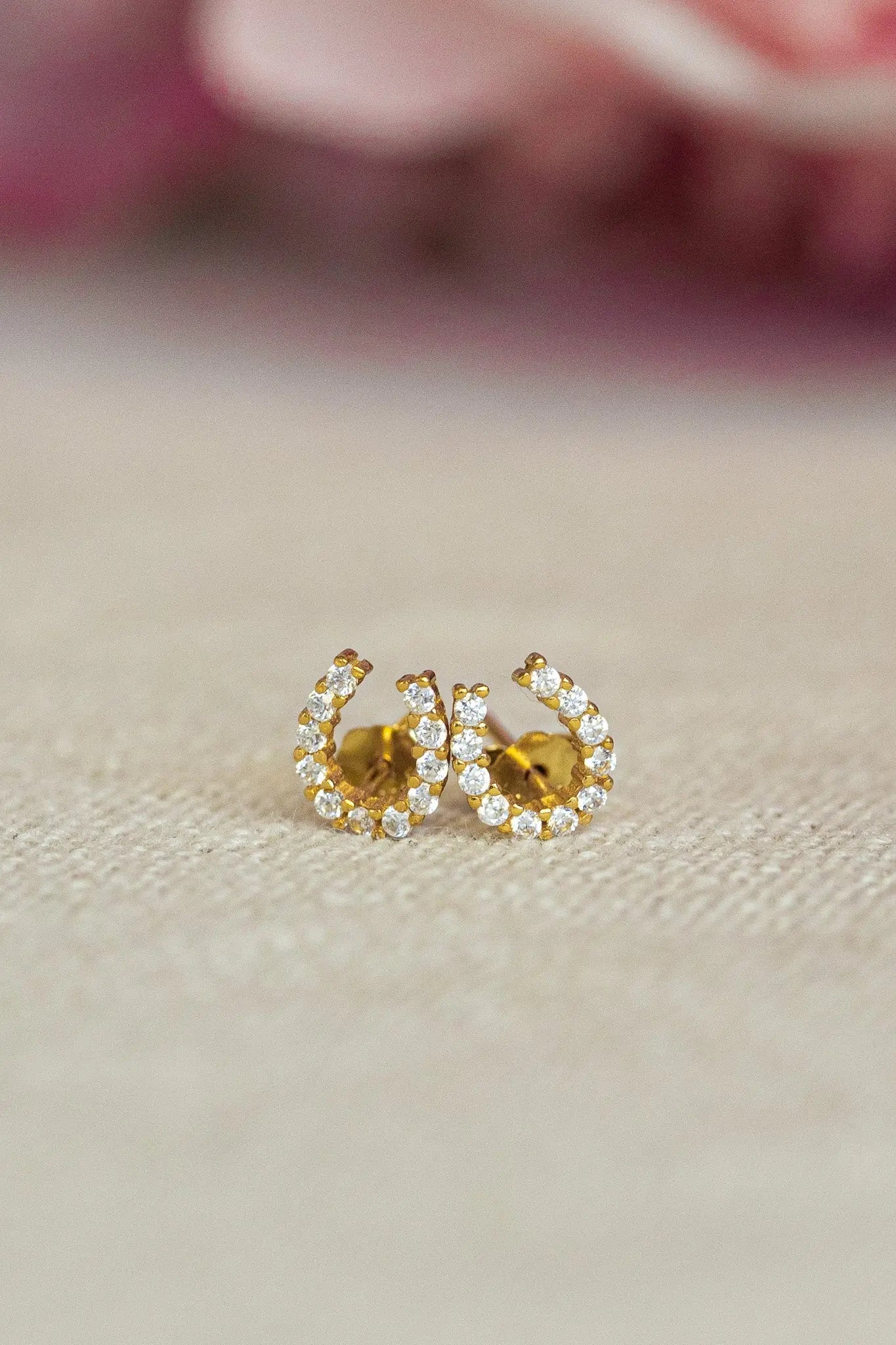 Luxe Horseshoe Earrings - Bridle Up Hope Shop